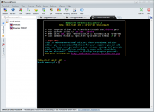 MobaXterm console